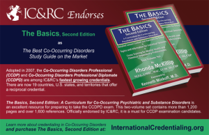 The icrc - the basics - 2nd edition.