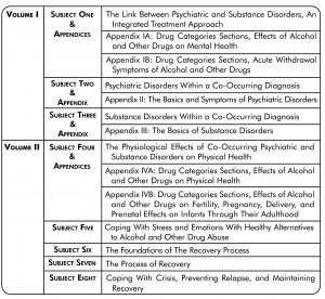 A sample of a treatment plan for a drug addiction.