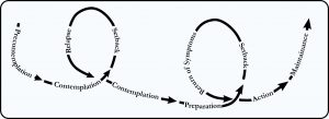 A diagram showing the phases of the life cycle.